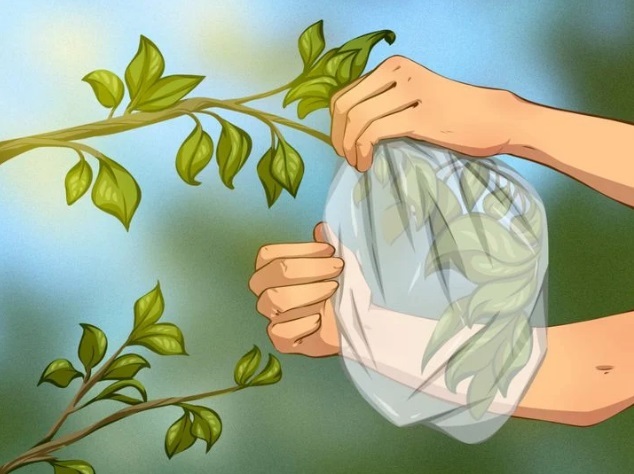 گم شدن در طبیعت و ترفندهای نجات بخش گم شدن در طبیعت و ترفندهای نجات بخش