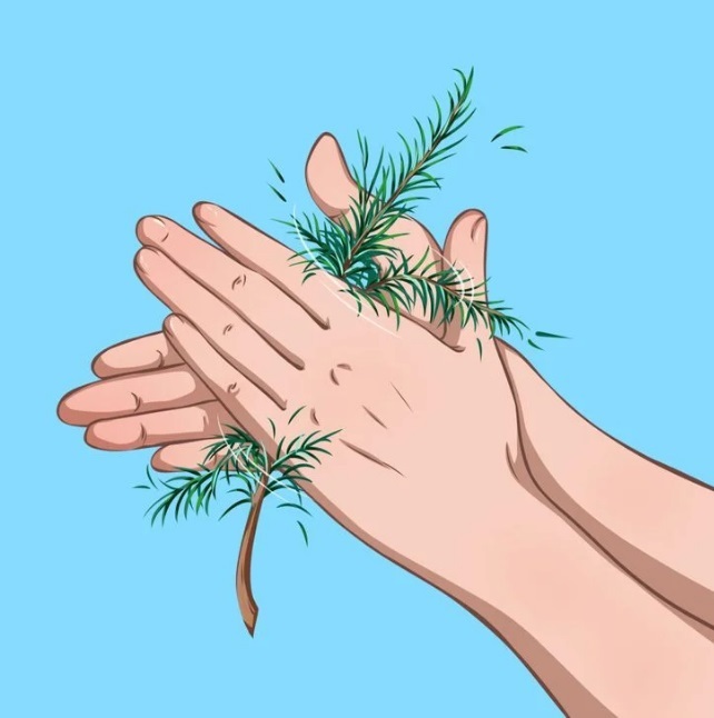 گم شدن در طبیعت و ترفندهای نجات بخش گم شدن در طبیعت و ترفندهای نجات بخش