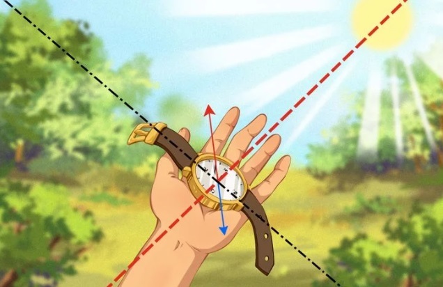 گم شدن در طبیعت و ترفندهای نجات بخش گم شدن در طبیعت و ترفندهای نجات بخش