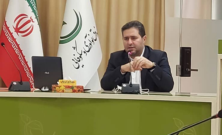 توسعه چشمگیر در زمینه فعالیت&zwnj; شرکت&zwnj;های دانش بنیان