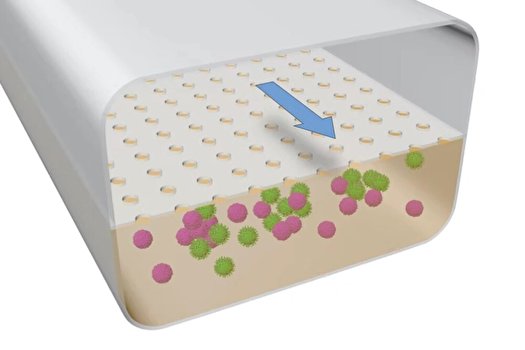 سلول&zwnj;های دستگاه ایمنی به توسعه واکسن سرعت می&zwnj;بخشد