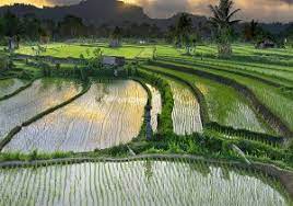 آب هست، اما کم هست...