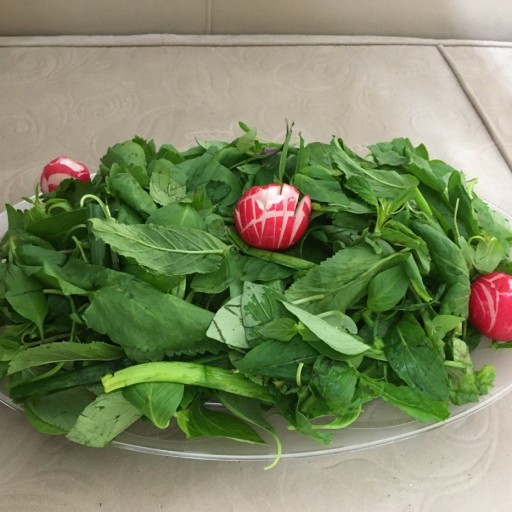 سبزی خوردن سر سفره‌ تان باشد