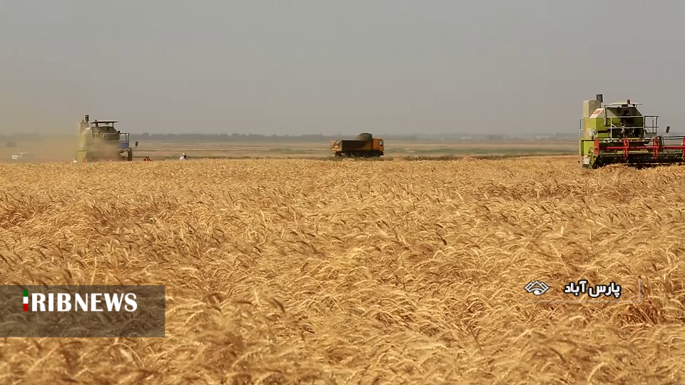 عمل به این فریضه دینی سبب برکت مال می شود