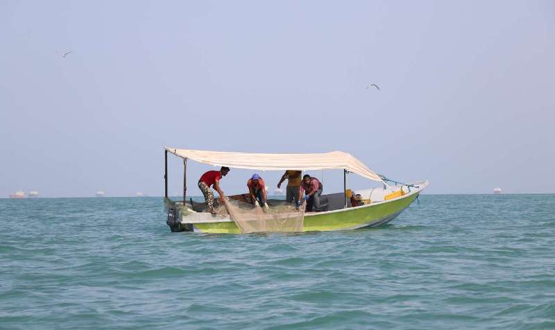 توقیف ۱۱ شناور به علت صید غیرمجاز میگو در دیر توقیف ۱۱ شناور به علت صید غیرمجاز میگو در دیر