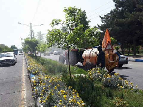 سمپاشی و درخت شویی برای کنترل آفات درختان اصفهان