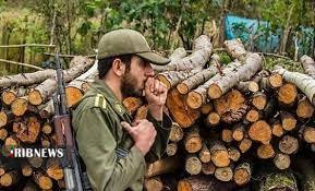 کشف محموله قاچاق چوب در شاهرود