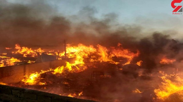 مرغداری متروکه در آتش سوخت