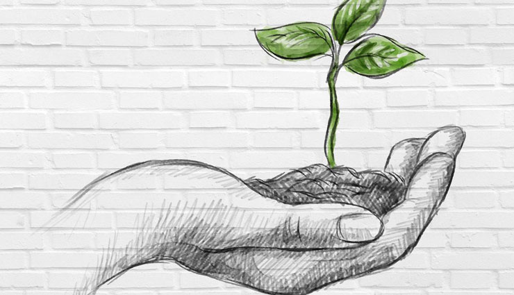 در روز طبیعت محیط زیست را حفظ کنیم