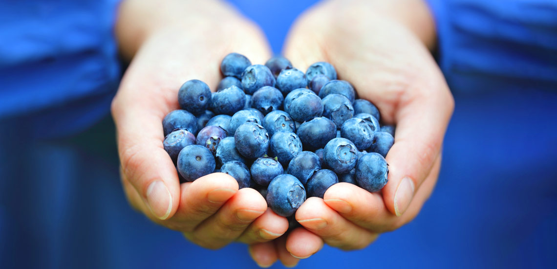 خواص بلوبری