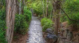 آرامش و تفریح در بهترین پارکهای تهران آرامش و تفریح در بهترین پارکهای تهران