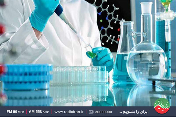 روایت کار آفرینی یک زوج در «خاص باشید»