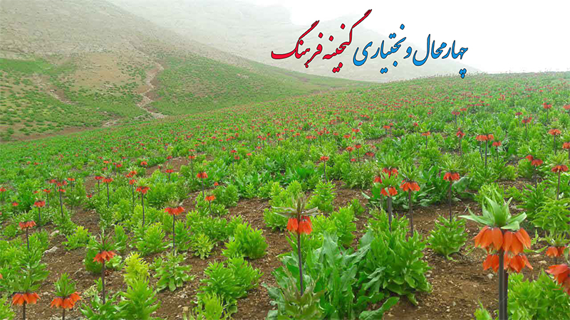 معرفی آداب و رسوم مردمان چهارمحال و بختیاری در برنامه گنجینه فرهنگ و هنر معرفی آداب و رسوم مردمان چهارمحال و بختیاری در برنامه گنجینه فرهنگ و هنر