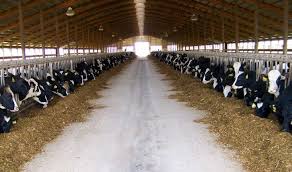 ارائه تسهیلات 