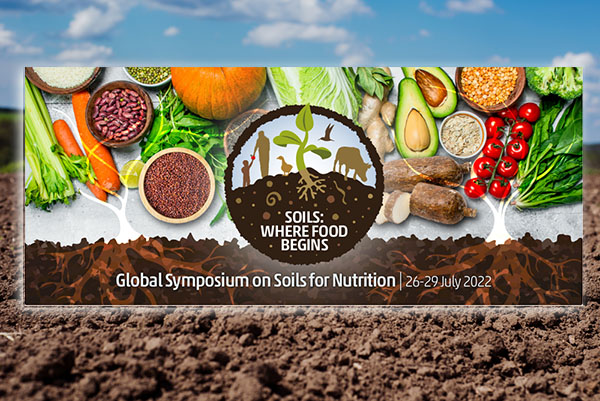 فرسایش خاک؛ هر ۵ ثانیه به اندازه یک زمین فوتبال فرسایش خاک؛ هر ۵ ثانیه به اندازه یک زمین فوتبال