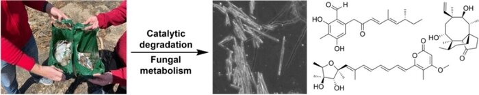 بازیافت ضایعات پلیاتیلن به محصولات متابولیک مفید برای داروسازی بازیافت ضایعات پلیاتیلن به محصولات متابولیک مفید برای داروسازی