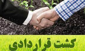 استان‌های قم و سیستان و بلوچستان در رده اول و دوم کشت قراردادی