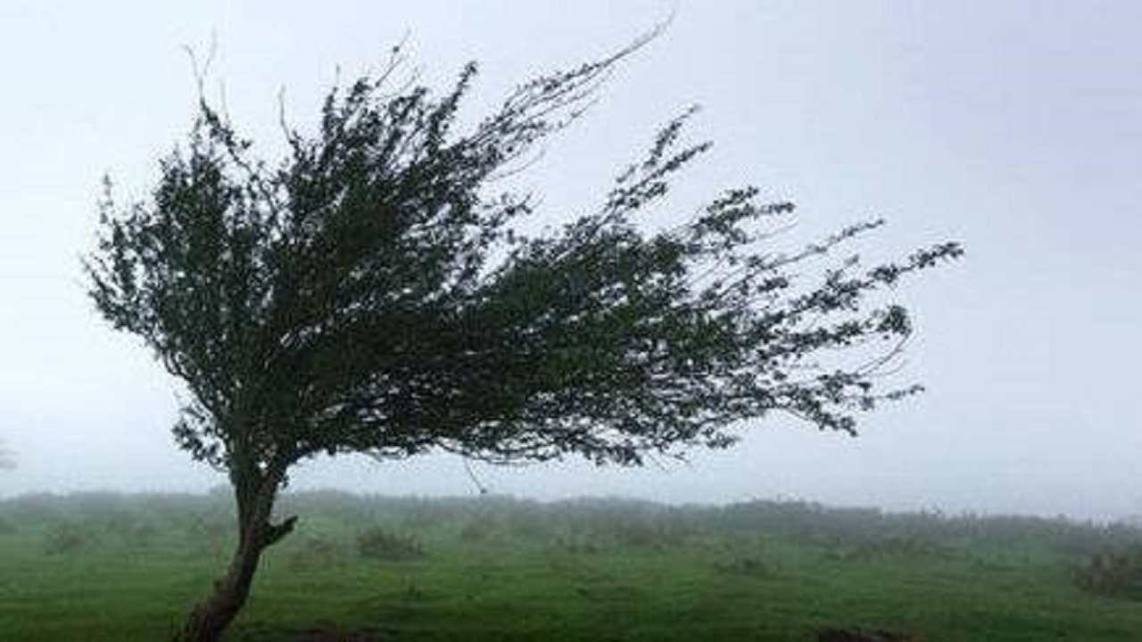 سرعت وزش باد در همدان به ۶۰ کیلومتر بر ساعت رسید