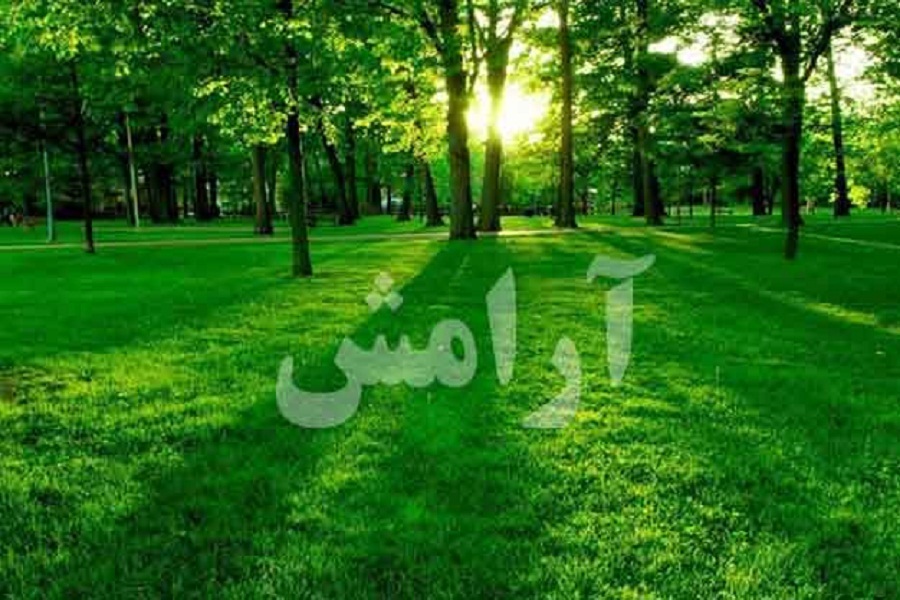 رسیدن به آرامش