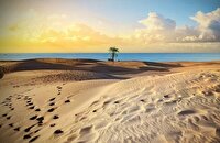 وقتی می‌گویند برو به درک، منظور کجاست؟