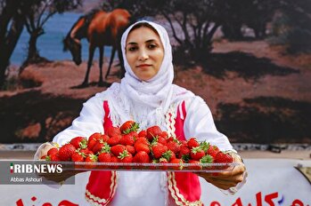 هفتمین شکرانه برداشت توت فرنگی در گیلان