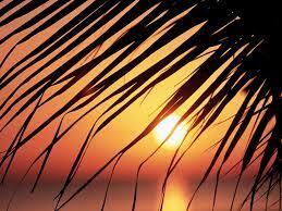 استقرار رطوبت و شرجی در خوزستان استقرار رطوبت و شرجی در خوزستان