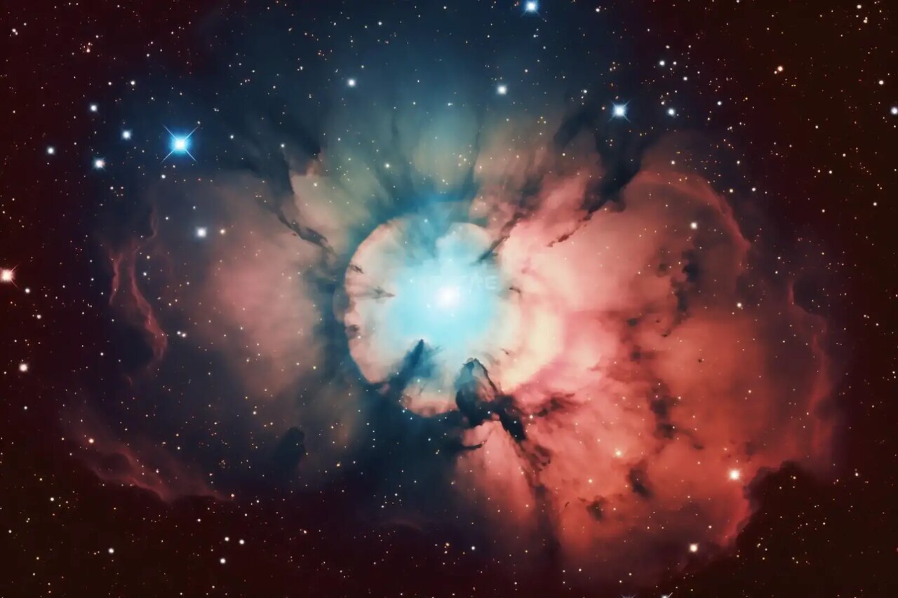 نشانه‌های حیات زمینی در فضا