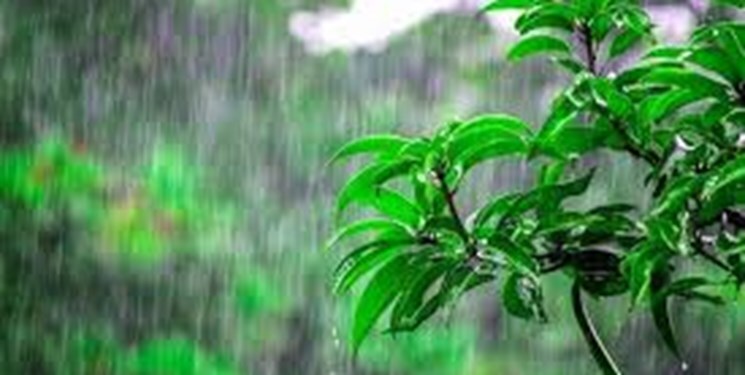 بارش‌های رگباری میهمان استان همدان
