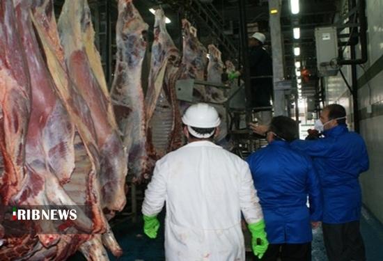 نظارت بر تولید بیش از سه هزار و ۸۰۰ تن گوشت قرمز در کشتارگاه بجنورد نظارت بر تولید بیش از سه هزار و ۸۰۰ تن گوشت قرمز در کشتارگاه بجنورد