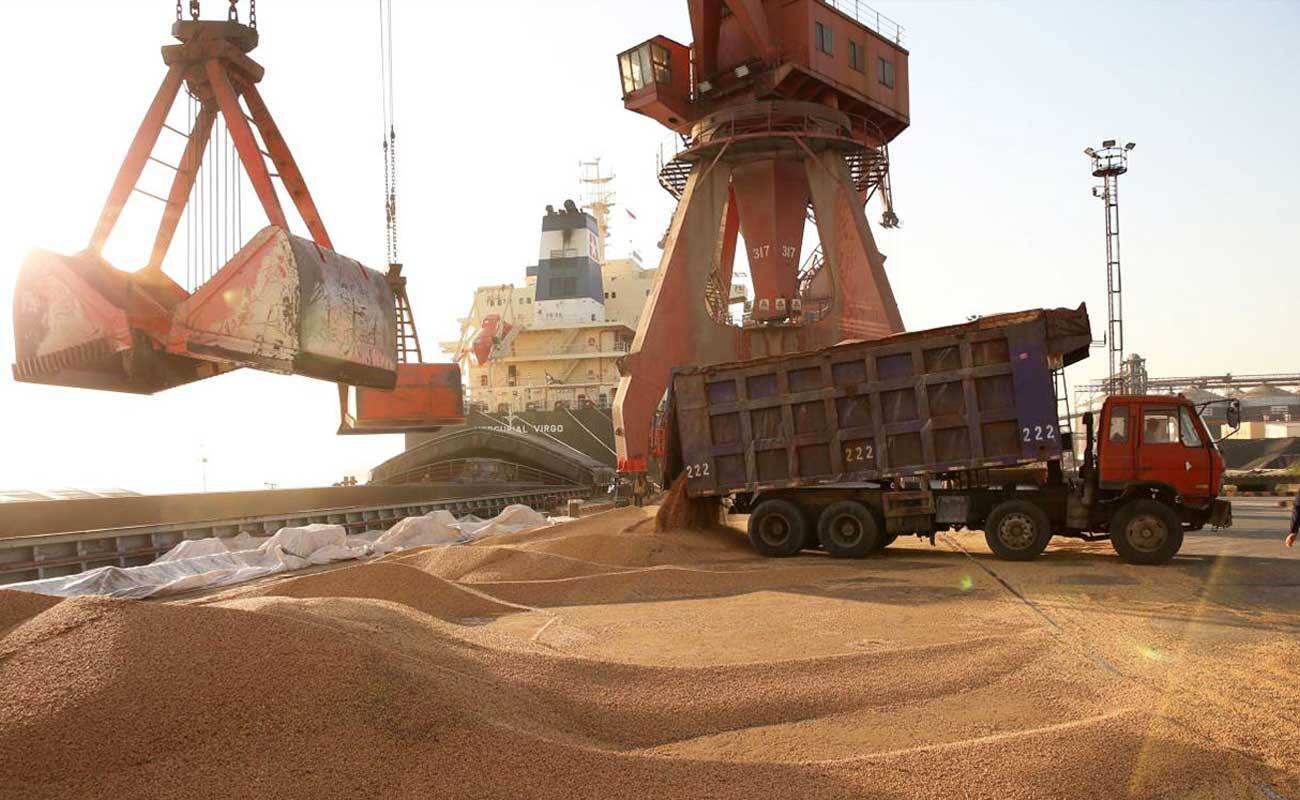 ترخیص بیش از ۹ میلیون تن نهاده دام در بندر امام خمینی