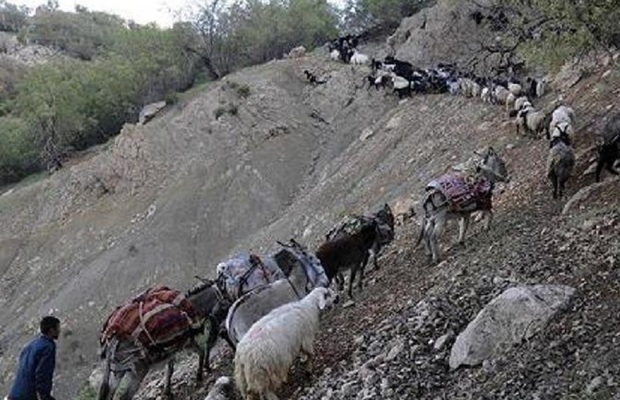 احداث ایل راه عشایری بانا احداث ایل راه عشایری بانا