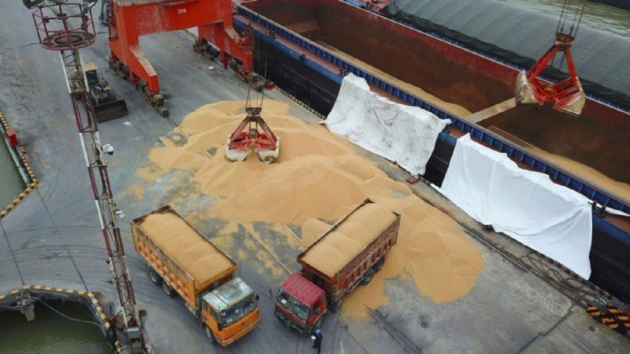 ترخیص ۴۰ هزار تن نهاده دامی از بندر امام خمینی (ره) با دستور قضایی ترخیص ۴۰ هزار تن نهاده دامی از بندر امام خمینی (ره) با دستور قضایی