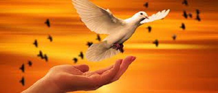 آزادی جوان بدهکار از زندان با کمک یک پیرمرد در همدان آزادی جوان بدهکار از زندان با کمک یک پیرمرد در همدان