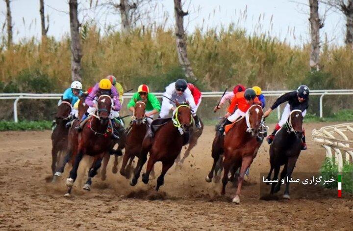 درخشش اسبهای خراسان شمالی در پایتخت سوارکاری کشور درخشش اسبهای خراسان شمالی در پایتخت سوارکاری کشور