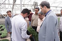 بررسی مشکلات حوزه کشاورزی و آب شهرستان مهریز