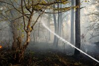 آتش سوزی در جنگل زرین درخت لردگان