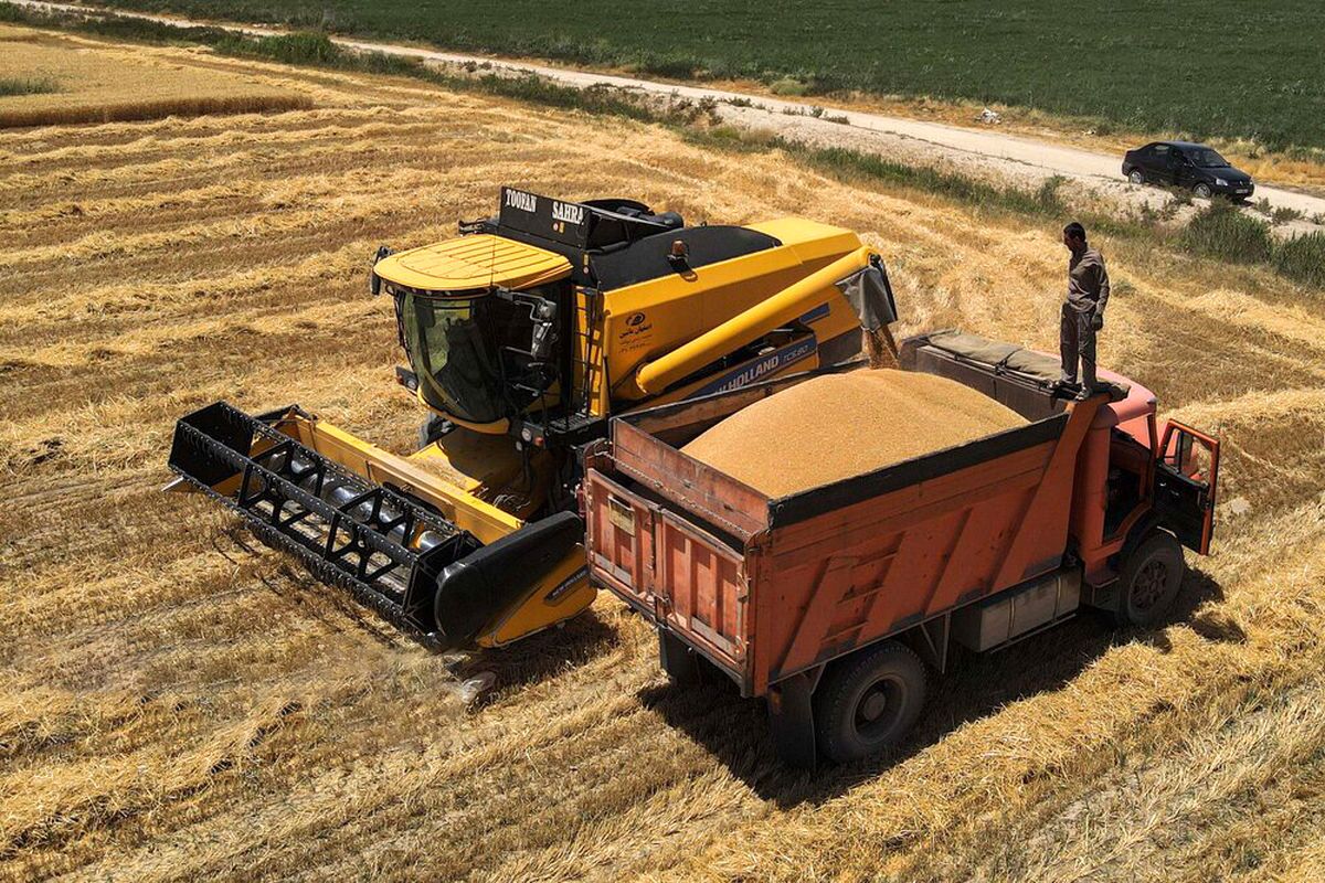 افزایش چشمگیر خرید تضمینی گندم خراسان شمالی افزایش چشمگیر خرید تضمینی گندم خراسان شمالی