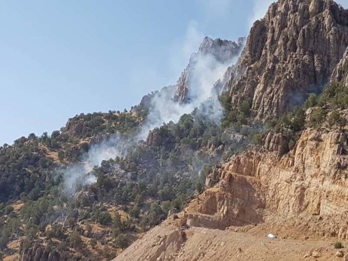 مهار آتش‌سوزی در ارتفاعات گزگا و سرشط شیمبار خوزستان