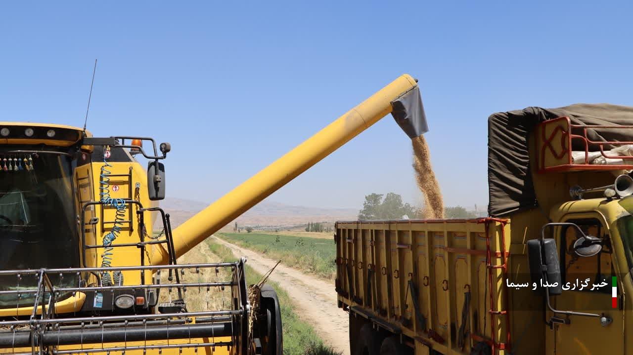 بازگشایی مراکز خرید تضمینی در شهرستانهای استان بازگشایی مراکز خرید تضمینی در شهرستانهای استان