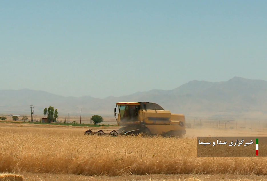 حمل ۴۵۷ هزار تن گندم تولیدی کردستان به ۹ استان کشور