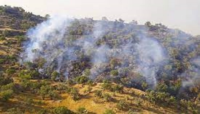 اطفای حریق در ۳۴۰ هکتار از اراضی ملی زنجان اطفای حریق در ۳۴۰ هکتار از اراضی ملی زنجان