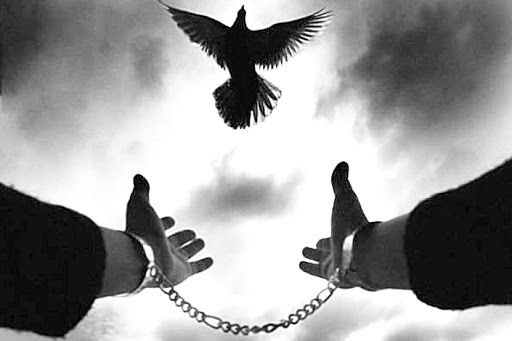 اعدام به محکوم از چوبه دار رهایی یافت اعدام به محکوم از چوبه دار رهایی یافت