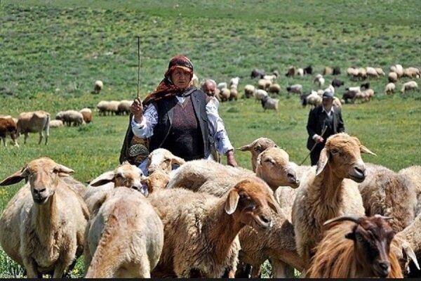 کوچ دامداران گیلان