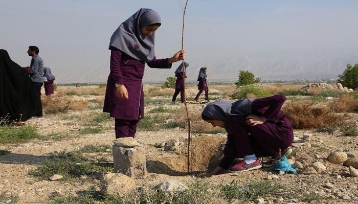 مشارکت دانش آموزان زنجانی در طرح کاشت یک میلیارد درخت