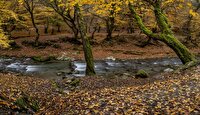 تداوم ماندگاری سوز سرمای پاییزه در آذربایجان غربی