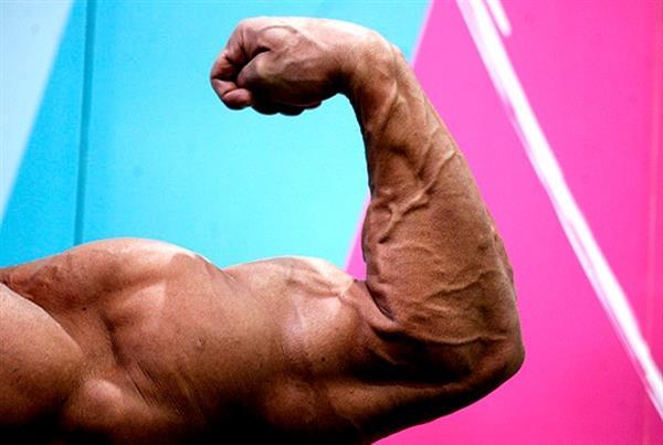 خوزستان با ۸ نماینده در جمع ۳ استان برتر تیم‌ملی پرورش اندام