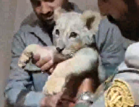 نگهداری حیوانات وحشی در منزل