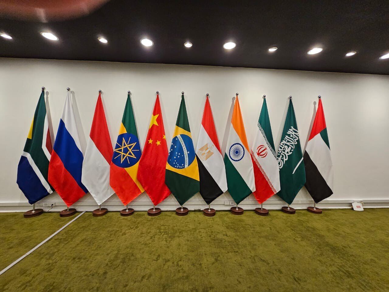 راه اندازی کارگروه شیلات در بریکس به پیشنهاد ایران