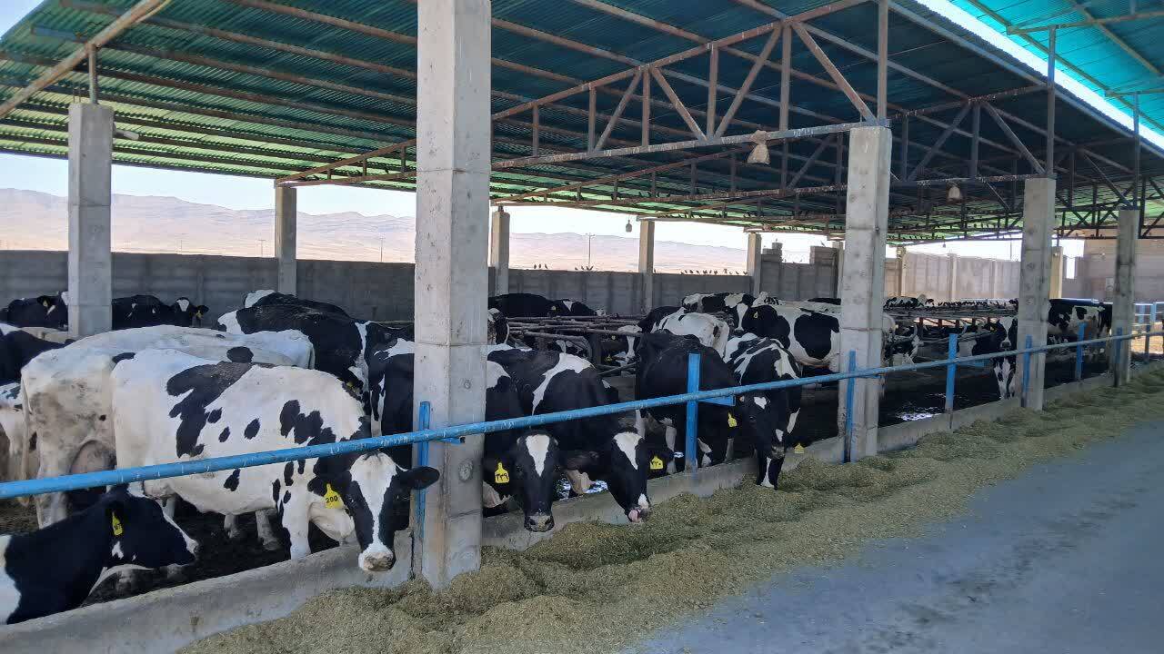 پرداخت تسهیلات تبصره ۱۸ به بهره برداران کشاورزی فاروج پرداخت تسهیلات تبصره ۱۸ به بهره برداران کشاورزی فاروج