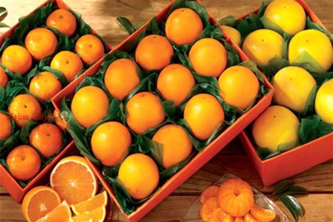 ایران، تولید کننده 6 میلیون تن مرکبات در سال ایران، تولید کننده 6 میلیون تن مرکبات در سال